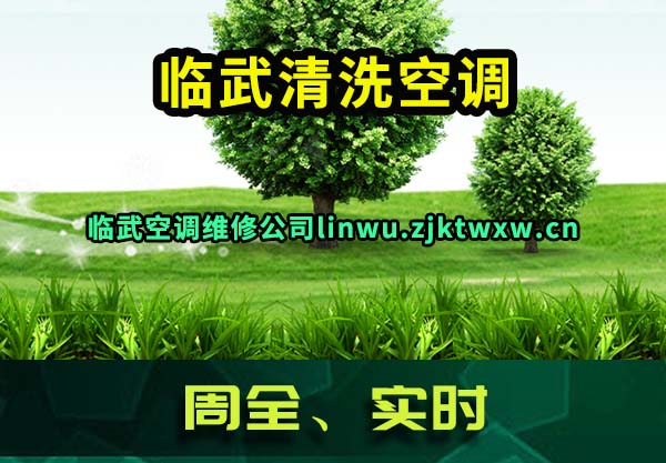 临武清洗空调